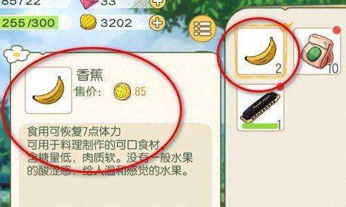 小森生活染发剂教学（以游戏为主，轻松掌握染发技巧）
