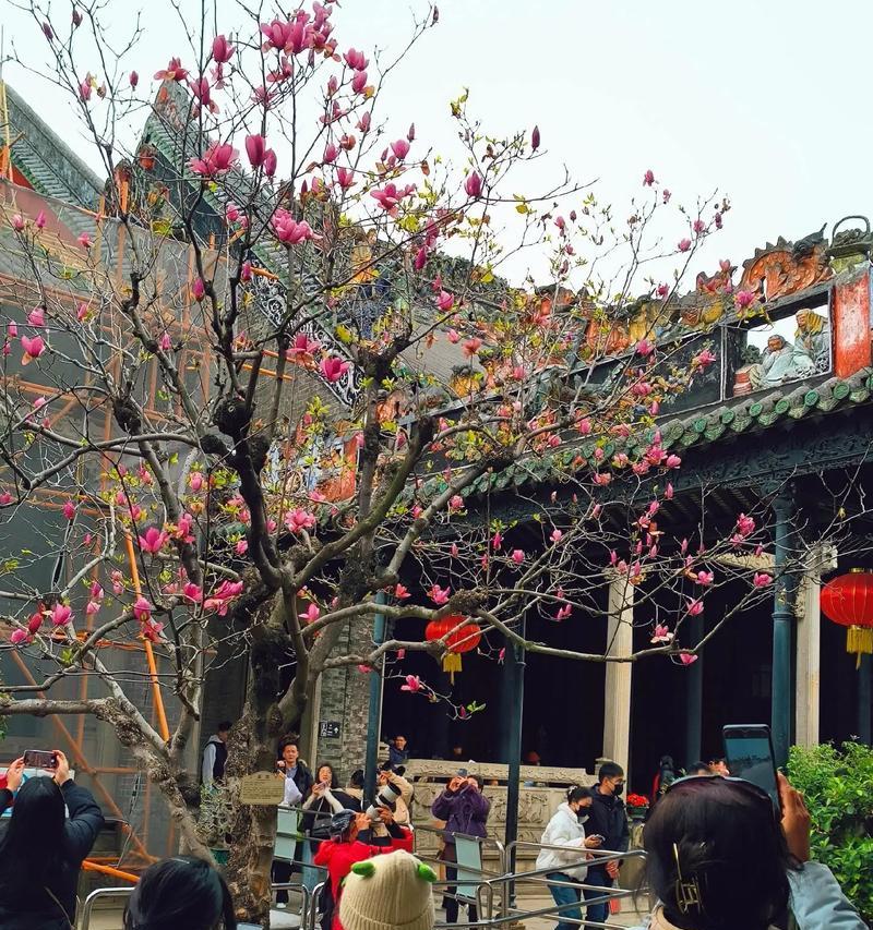 Ruby出装攻略（一步步教你选择最适合的装备）