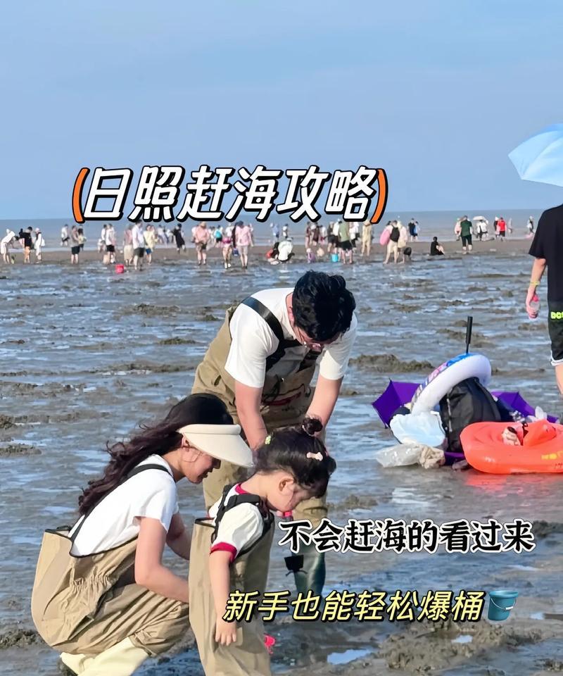 高效日照赶海攻略（技能搭配解密，助你海鲜盛宴）