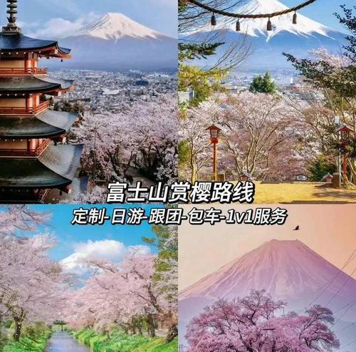 《不负相思花见攻略》（倾心而来，剖析《不负相思花见》中的心灵角落）
