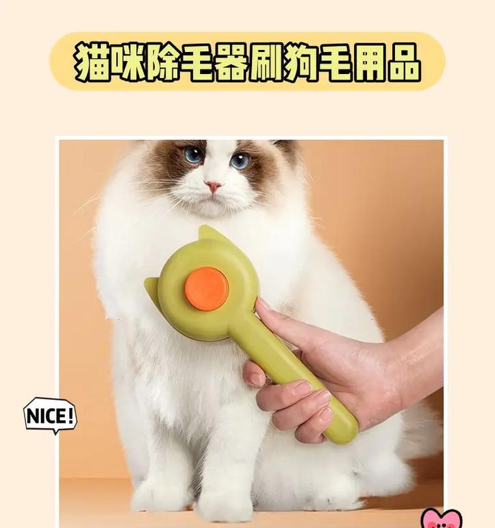 解密神奇猫咪华容道（玩转华容道，成为猫咪大师！）